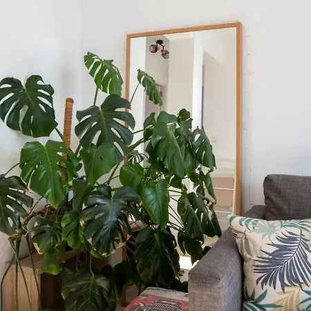 Luminoso En Jdc Santander