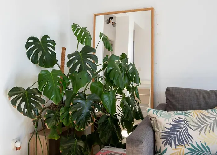 Luminoso En Jdc Santander